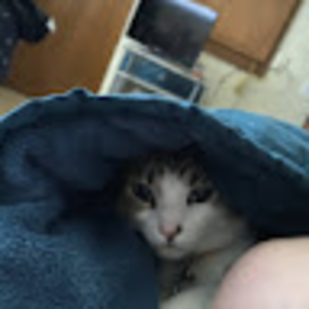 Meet your Posher, Ashlynn